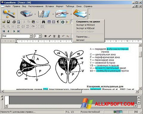 Screenshot CuneiForm para Windows XP
