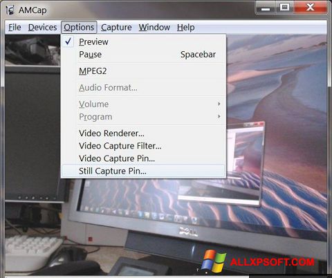 Screenshot AMCap para Windows XP