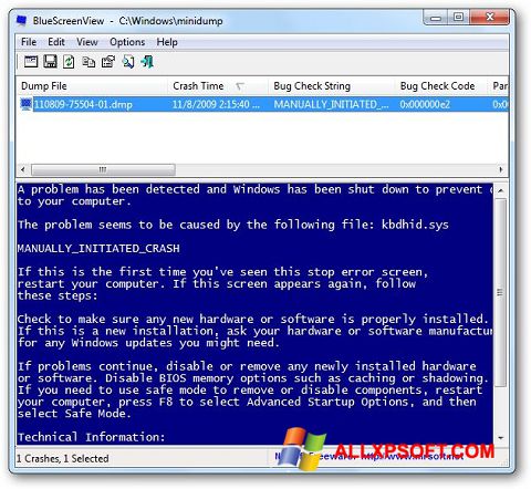 Screenshot BlueScreenView para Windows XP