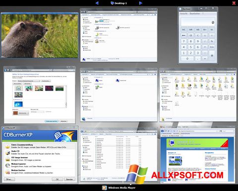Screenshot Dexpot para Windows XP
