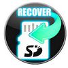 F-Recovery SD para Windows XP