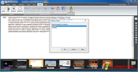 Screenshot Snagit para Windows XP