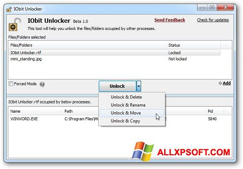 Screenshot IObit Unlocker para Windows XP