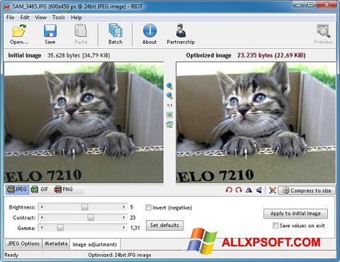 Screenshot RIOT para Windows XP