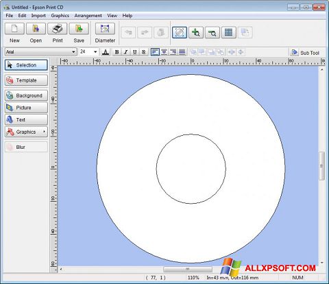 Screenshot EPSON Print CD para Windows XP